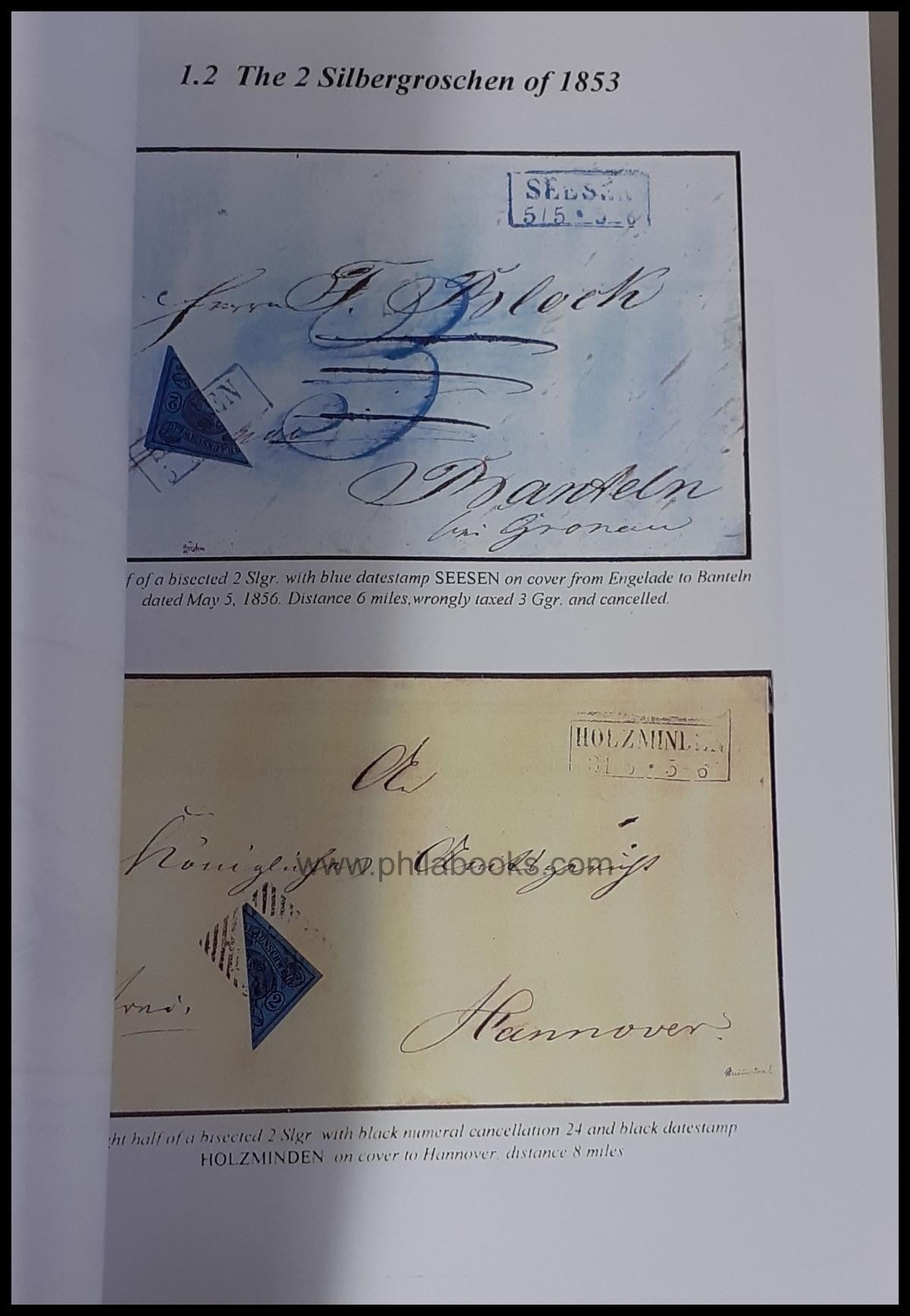 Braunschweig/Brunswick, Farb-Kopie einer herausragenden internatio ...
